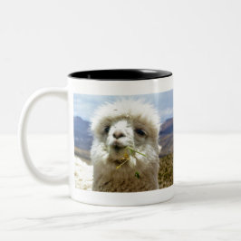 Süsses Alpaca Zweifarbige Tasse
