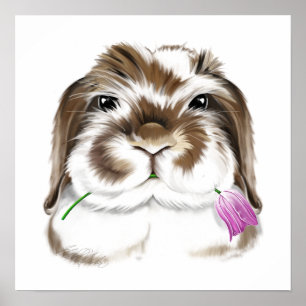 Süßes Amerikanisches Fuzzy Lop Kaninchen mit rosa Poster