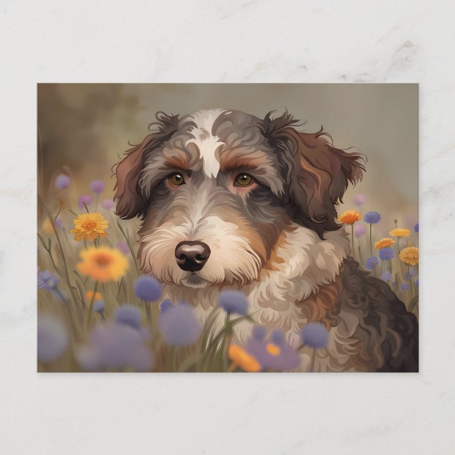 Süßes Aussiedoodle Portrait Postkarte (Vorderseite)