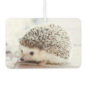 Süßes Baby-Igel-Foto Autolufterfrischer