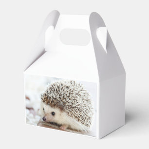 Süßes Baby-Igel-Foto Geschenkschachtel