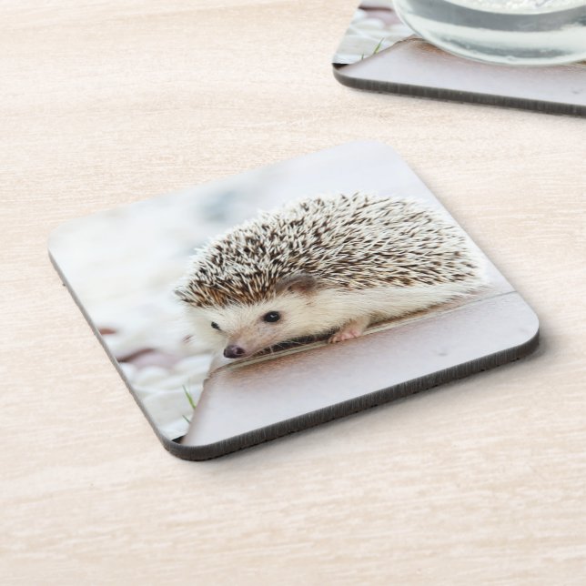 Süßes Baby-Igel-Foto Getränkeuntersetzer (Linke Seite)