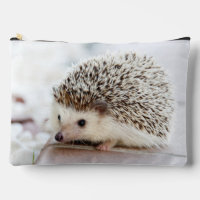 Süßes Baby-Igel-Foto