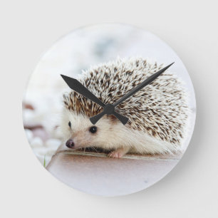 Süßes Baby-Igel Runde Wanduhr