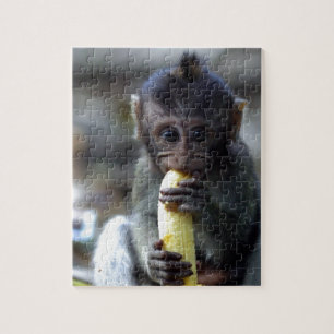 Süßes Baby Makaken Äffchen isst Banane Puzzle