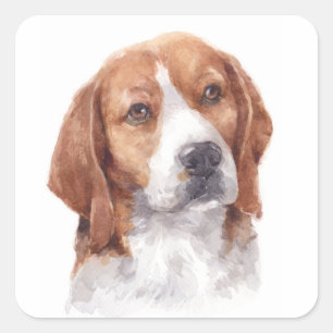 Süßes Beagle-Wasserfarbenporträt Hundemama und -pa Quadratischer Aufkleber