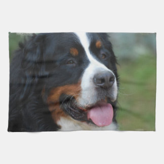 Süßes Bernese Geschirrtuch
