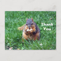 Süßes Eichhörnchen Erdnuss Foto Danke