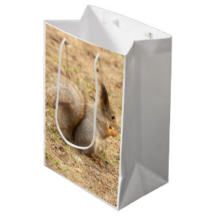 Süßes Eichhörnchen isst ein Nuss-Foto Mittlere Geschenktüte
