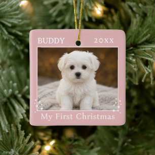 Süßes erstes Weihnachtsfoto von Hund Keramikornament