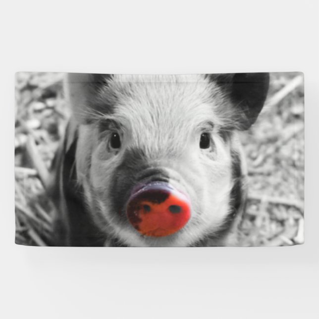 Süßes Ferkel Banner (Horizontal)