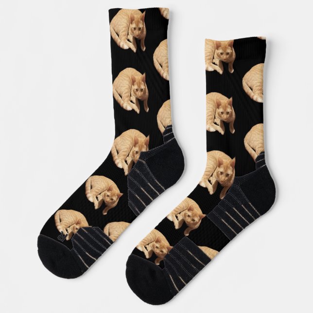 Süßes Foto einer roten Katze  Socken (Links)