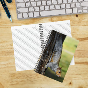 Süßes Foto eines Östlichen Grauhörnchens in der Na Notizbuch