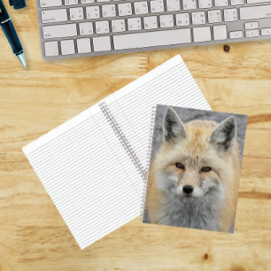 Süßes Foto eines Rotfuchses Notizbuch