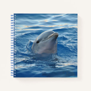 Süßes Foto vom Gesicht eines Delfins im Ozean Notizbuch
