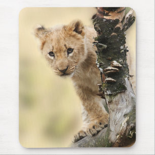 Süßes Foto von einem Löwenjungen, das einen Baum e Mousepad