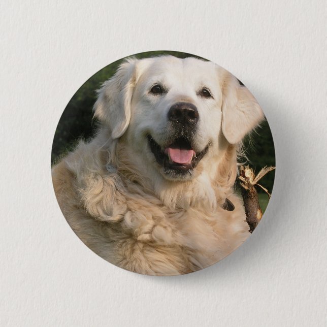 Süßes goldener Retriever-Button Button (Vorderseite)