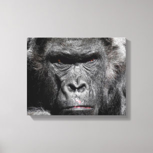Süßes Gorillagesicht, das intensiv eingewickelt au Leinwanddruck