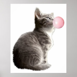 Süßes Graues Kätzchen Katze Bubble Gum Kinderzimme Poster