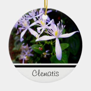 Süßes Herbst-Clematis-Andenken-Ornament Keramik Ornament