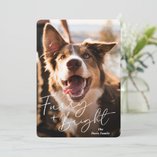 Süßes Hunde-Foto Moderne Weihnachten