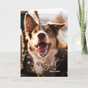 Süßes Hunde-Foto Moderne Weihnachten