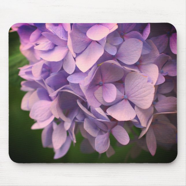 Süßes Hydrangea Blume Petals Mousepad (Vorne)