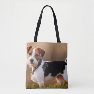 Süßes Jack-Russel-Terrier-Hund-Foto