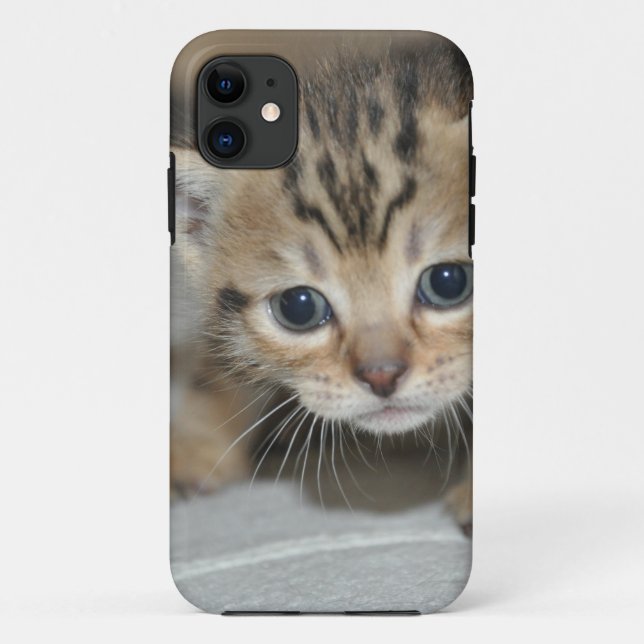 Süßes junges Kätzchen Case-Mate iPhone Hülle (Rückseite)
