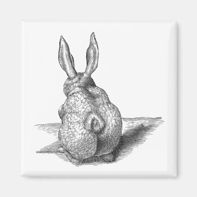 Süßes Kaninchen Magnet (Vorne)
