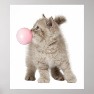 Süßes Kätzchen Bubble Gum Kinderzimmer Kind Poster