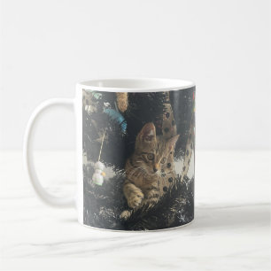 Süßes Kätzchen Katzenfoto Name  Kaffeetasse