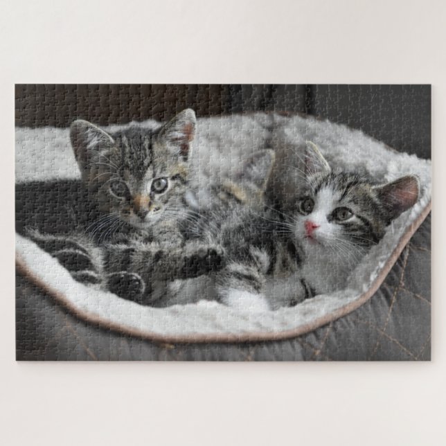 Süßes Kätzchen Puzzle (Horizontal)