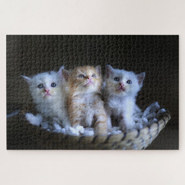 Süßes Kätzchen Puzzle (Horizontal)
