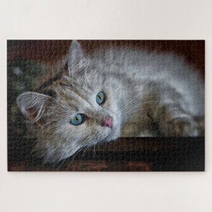 Süßes Kätzchen Puzzle