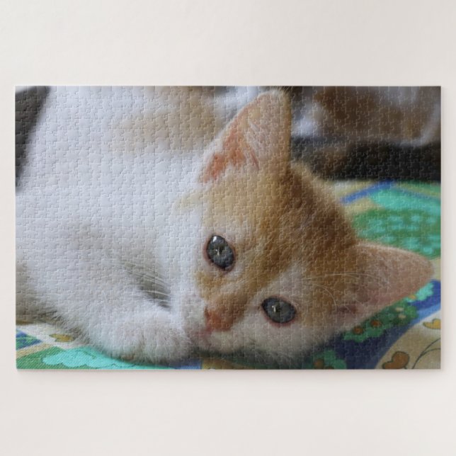 Süßes Kätzchen Puzzle (Horizontal)