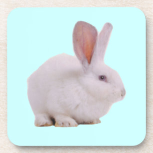 Süßes Kawaii-Hasen-Kaninchen Untersetzer