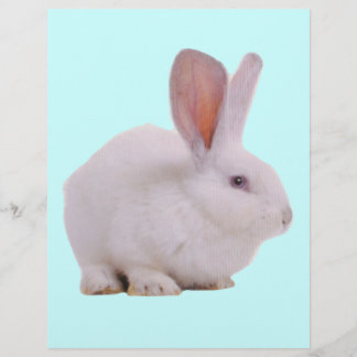 Süßes Kawaii-Kaninchen