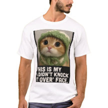 Süßes Kitty-Meme – „Ich habe es nicht umgeworfen“