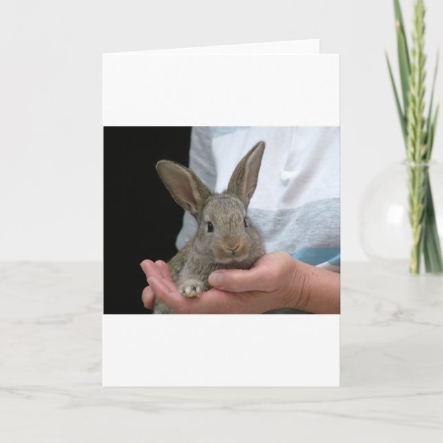 süßes kleines Kaninchen Karte (Vorderseite)