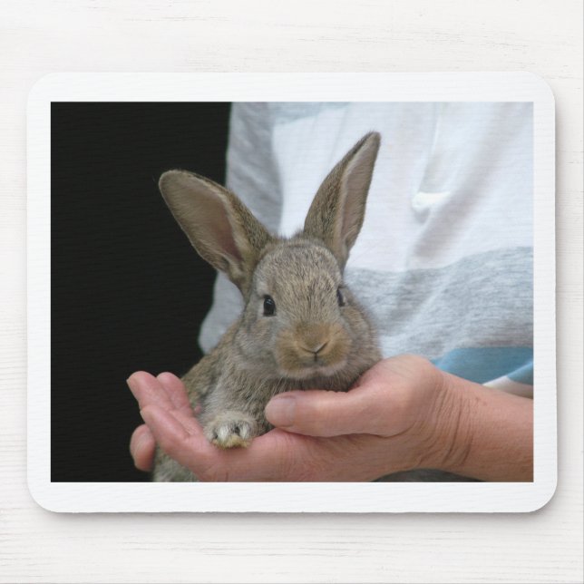 süßes kleines Kaninchen Mousepad (Vorne)