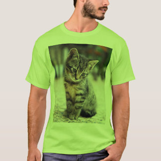 Süßes kleines Katzenliebhaber-Grafik-T-Shirt - Her T-Shirt