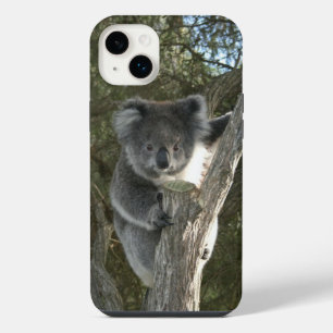 Süßes Koala beim Klettern auf einem Baum Foto iPhone 14 Plus Hülle