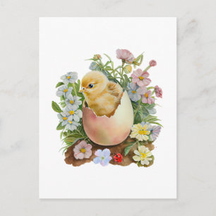 Süßes Küken in der Eierschale & Aquarellblumen Postkarte