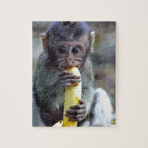 Süßes Makakenbaby frisst Banane Puzzle