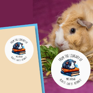 Süßes Meerschweinchen beim Bücherlesen Sticker   B