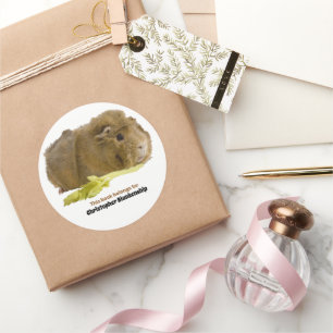 Süßes Meerschweinchen beim Verzehr von Sellerie Fo Runder Aufkleber
