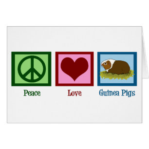 Süßes Meerschweinchen Frieden Liebe Meerschweinche