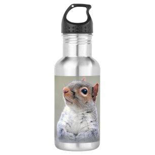 Süßes neugieriges Eichhörnchen-Profilfoto Edelstahlflasche