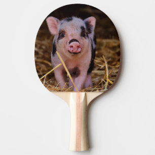 Süßes niedliches Schwein Tischtennis Schläger